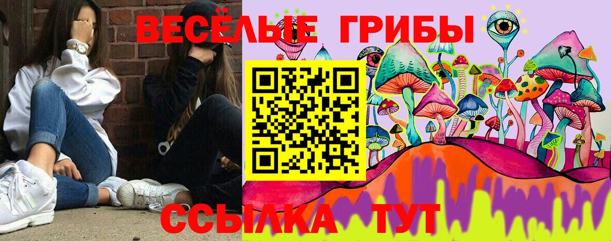 Ейск  Галлюциногенные грибы GOLDEN TEACHER  Вход с VPN 