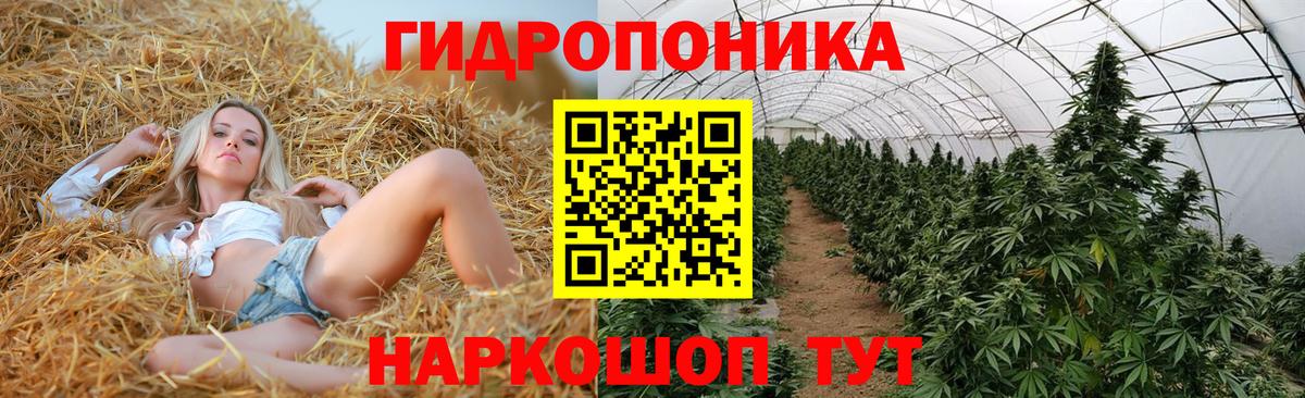 Бошки марихуана SATIVA & INDICA Ейск